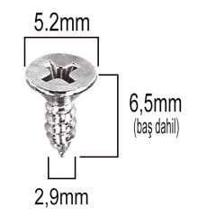 Aletçantam Havşa Başlı Küçük Vida Mini Sac Vidası Yhb 2.9x6.5 -500 Adet