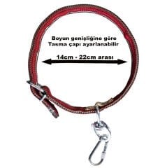 Çift Tokalı Köpek Boyun Tasması Büyük Irk 82cm Kilitli Karabinalı Palaska Kangal Tasma