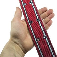 Çift Tokalı Köpek Boyun Tasması Büyük Irk 82cm Kilitli Karabinalı Palaska Kangal Tasma