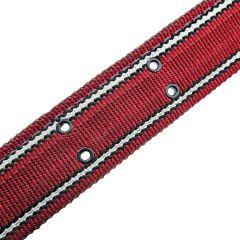Çift Tokalı Köpek Boyun Tasması Büyük Irk 82cm Kilitli Karabinalı Palaska Kangal Tasma