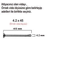 Matkap Uçlu Vida Akıllı Apex Vidası 4.8x25 - 100 Adet