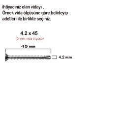 Matkap Uçlu Vida Akıllı Apex Vidası 3.9x16 - 100 Adet