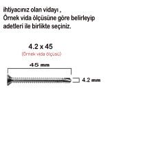 Matkap Uçlu Vida Akıllı Apex Vidası  3.9x13 - 100 Adet